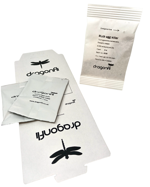 Pantry Moth Control Bundle Pheromone Trap & Moth Egg Killer Sachet