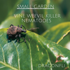 Small Garden Vine Weevil Killer Nematodes