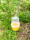 Wasp Trap With Attractant