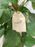 Ladybird Larvae Cotton Application Bag