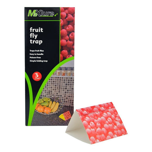 Fruit Fly Attractant Trap - For Indoor Use (Pack of 3)