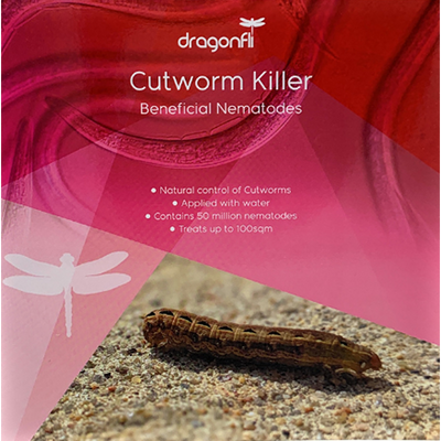 Cutworm Killer Nematodes