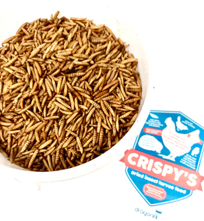 Crispy's - Nutritious Dried Insect Feed For Birds & Hedgehogs