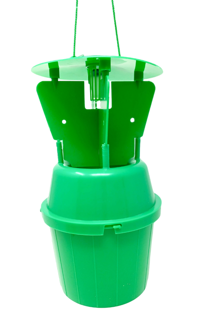 Garden Chafer Beetle Trap Including Attractant Lure