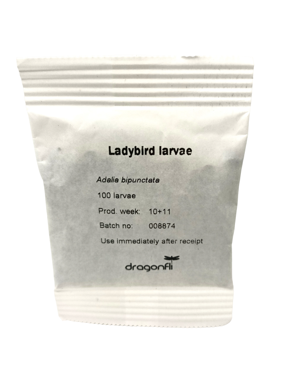 Ladybird Family Bundle - 25 Ladybird Adults & 100 Ladybird Larvae