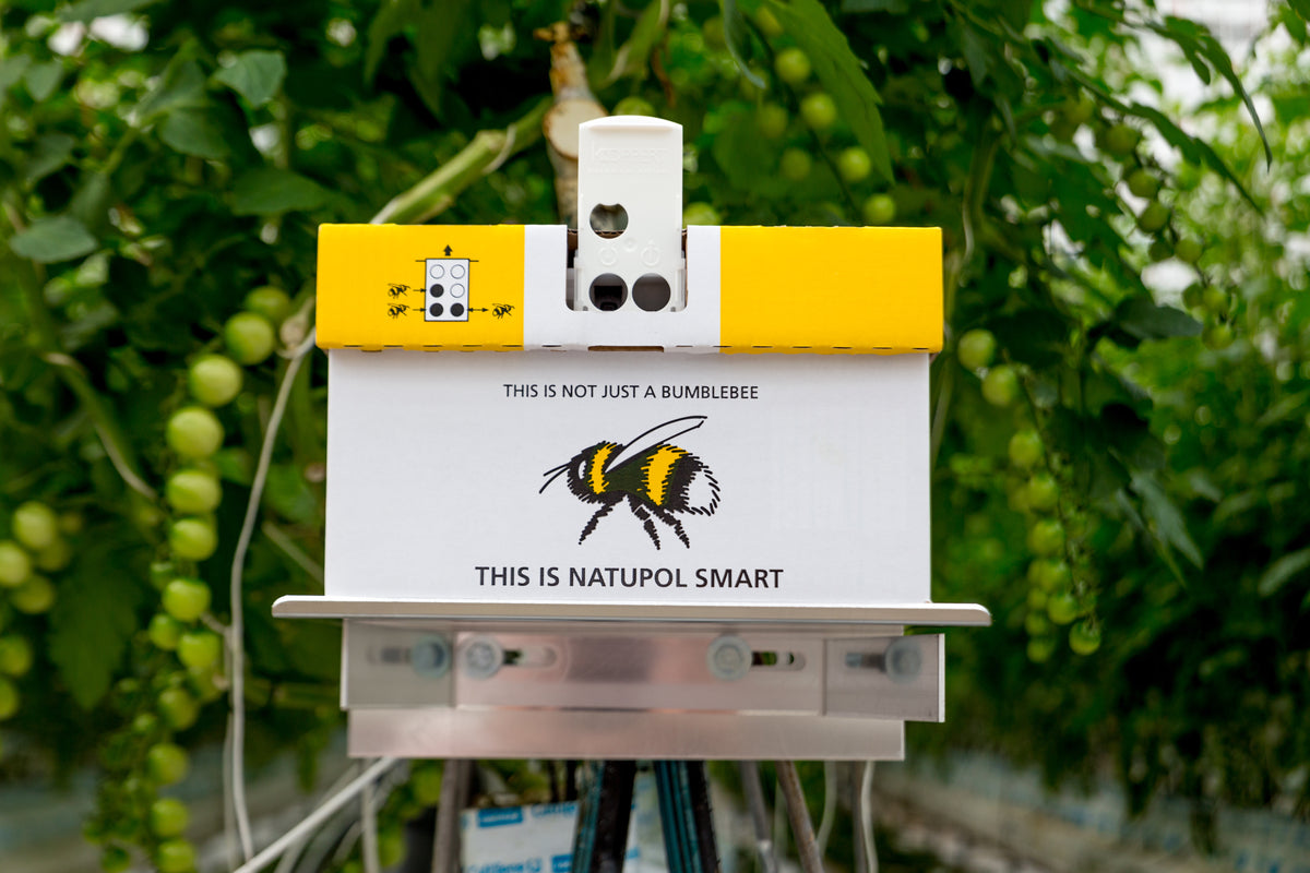Natupol Smart - Live Bumblebee Colony For Indoor Pollination - Ideal For Use In Polytunnels & Glasshouses