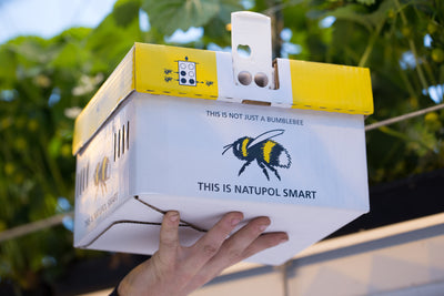 Natupol Smart - Live Bumblebee Colony For Indoor Pollination - Ideal For Use In Polytunnels & Glasshouses