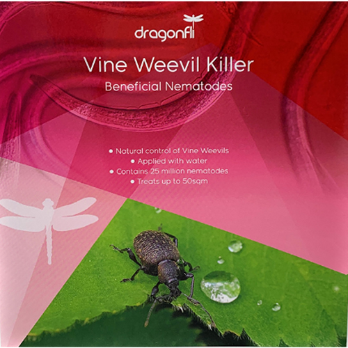 Vine Weevil Killer Nematodes