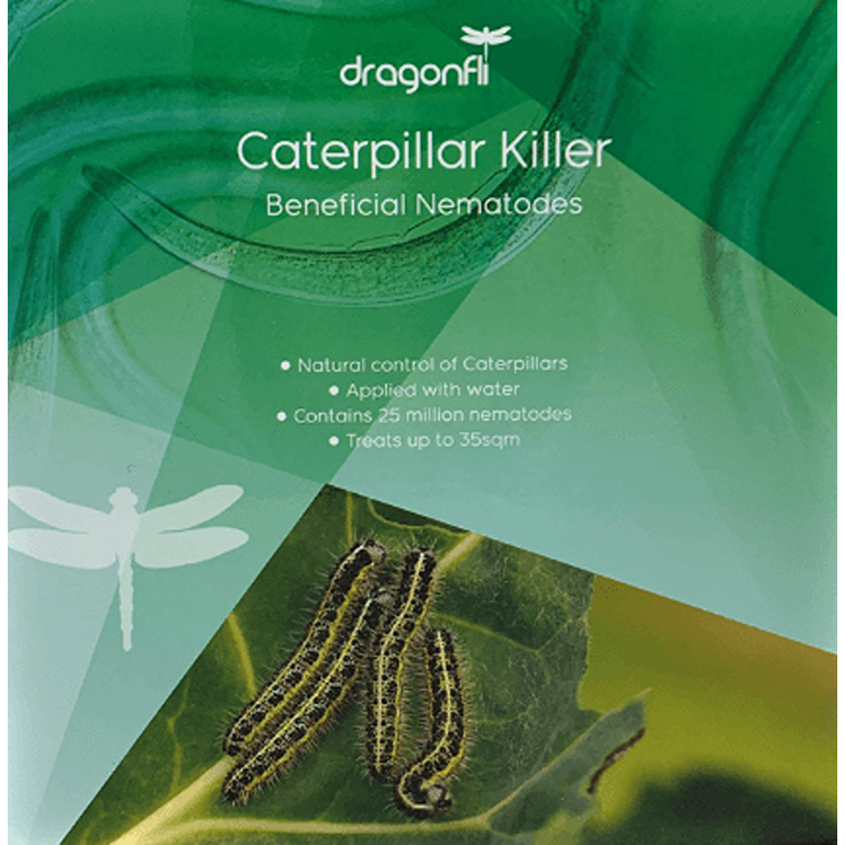 Caterpillar Killer Nematodes