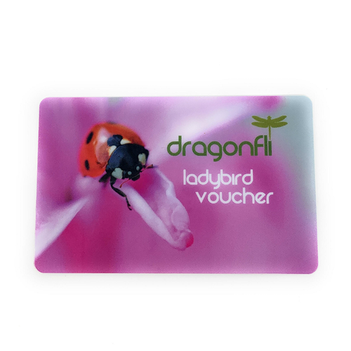 Live Ladybird Gift Card